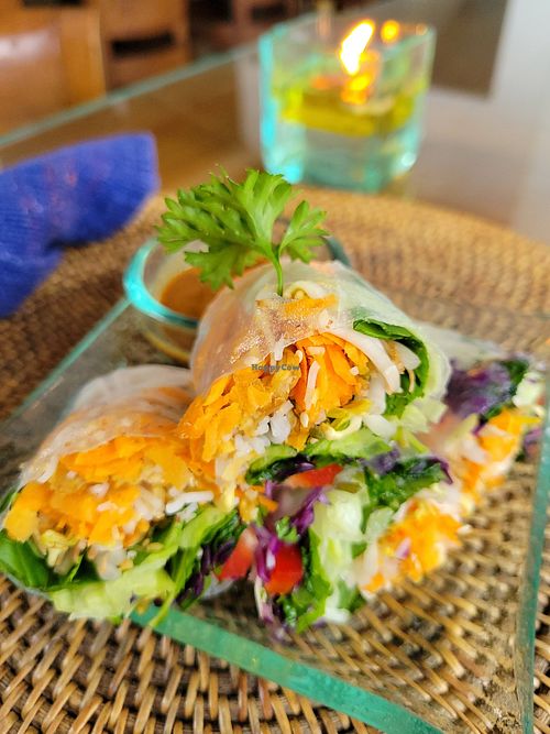 Fresh spring rolls at Sage in Ubud