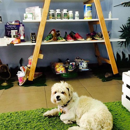 perros son bienvenidos at Ohrigen in Zaragoza