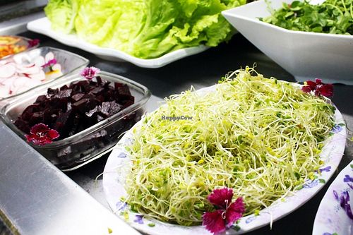 Typical leaves and salads that you can find every day. Always fresh! at Orgânico Veg in Florianopolis