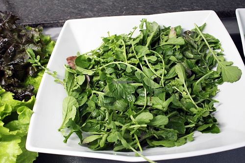Fresh arugula every day. at Orgânico Veg in Florianopolis