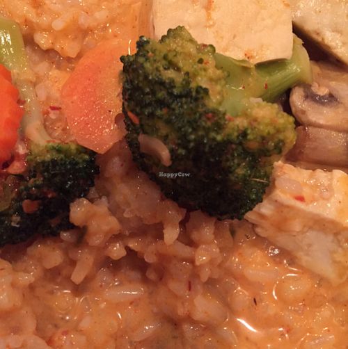 Gaeng Curry with tofu also 3 stars(heat level) at Dancing Noodle in Parker