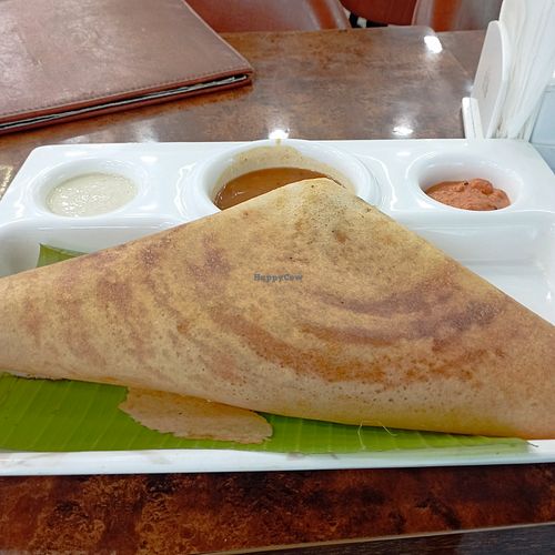 Masala dosa at Shudh - The Vegetarian Food Court in New Delhi