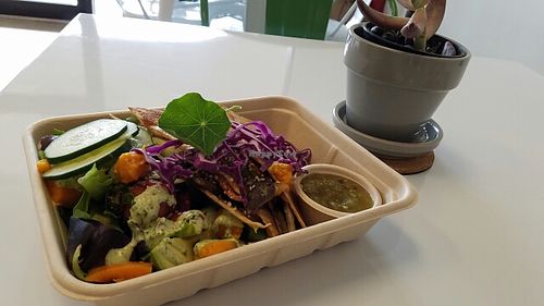 vegan quesadillas  at Organically Twisted in Naples