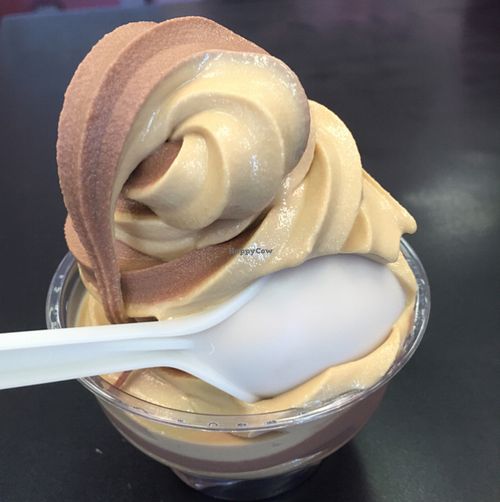 chocolate and salted caramel twist, YUM at Vegan Treats Bakery in Bethlehem