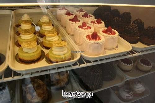 display case! at Vegan Treats Bakery in Bethlehem