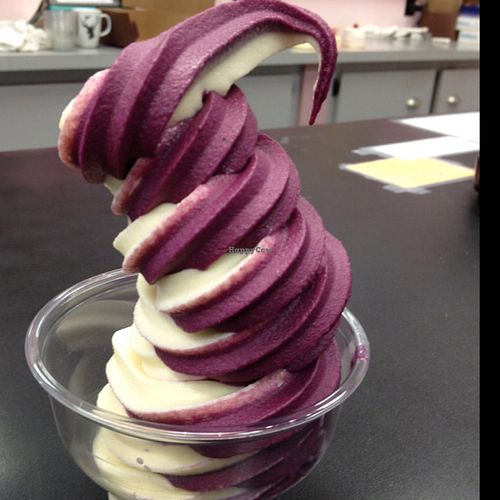 delicious blueberry cheesecake swirl soft serve at Vegan Treats Bakery in Bethlehem