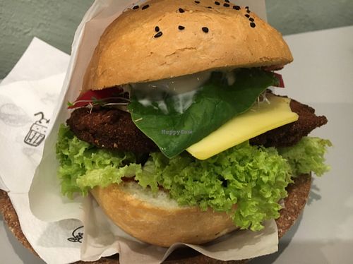 seitanex at Krowarzywa in Krakow