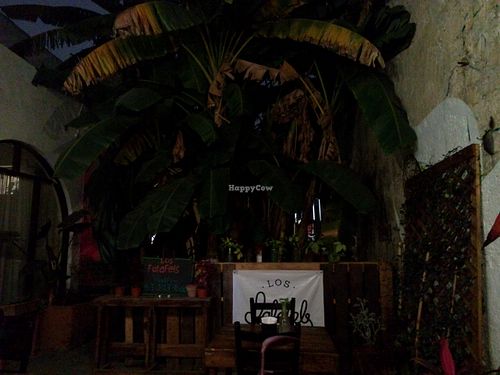 sitting area at Los Falafels in Monterrey