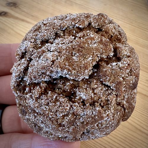 Ginger Cookie  at Half-Peach Bakery & Cafe in Louisville