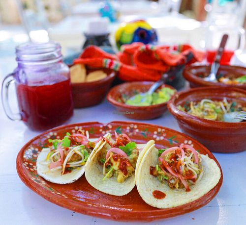 taco bowl with a side of tortillas and a big serving of help yourself pickled onion at Charly's Vegan Tacos - Food Truck in Tulum