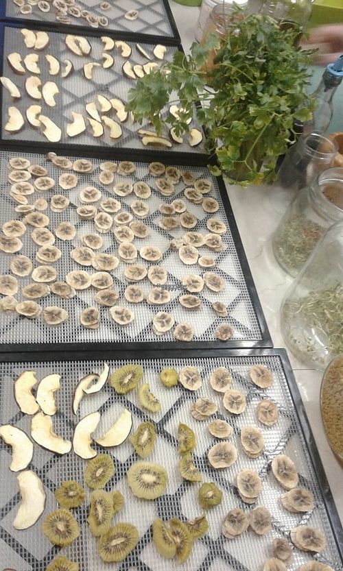 Just Dehydrated Fruits ! at Curcuma in El Chalten