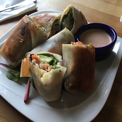 spring rolls at Root in Lancaster