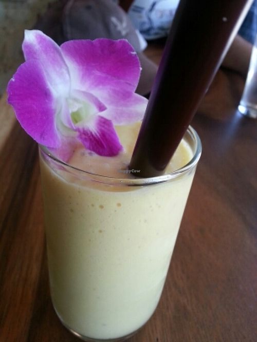 mango smoothie at Yogi Cafe - Zen Retreat in Koh Samui