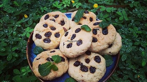 so yummy vegan cookie   at Xuong Vegan - Atelier Vegan in Hanoi