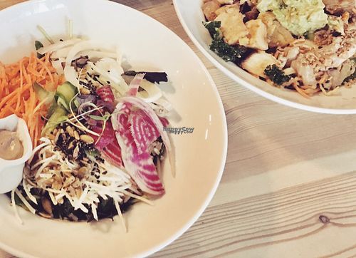 vegan winter bowls  at Seize in Wellington