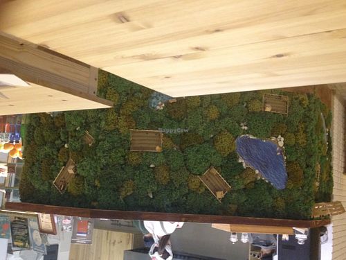 Front counter at Loving Hut  in Moscow