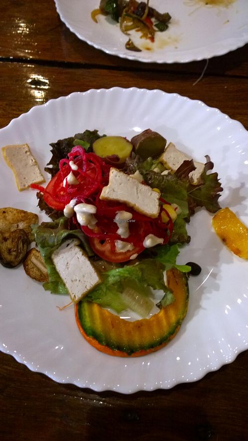 Self-made salad at Khun Churn at Khun Churn in Chiang Mai