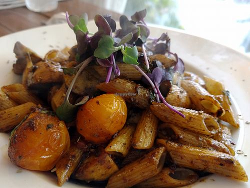 Vegan Pasta at Etz Cafe in Jerusalem