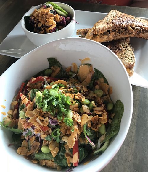 Pad Thai Salad and Kimcheez sandwich with cabbage slaw at The Sanctum Cafe in Orlando