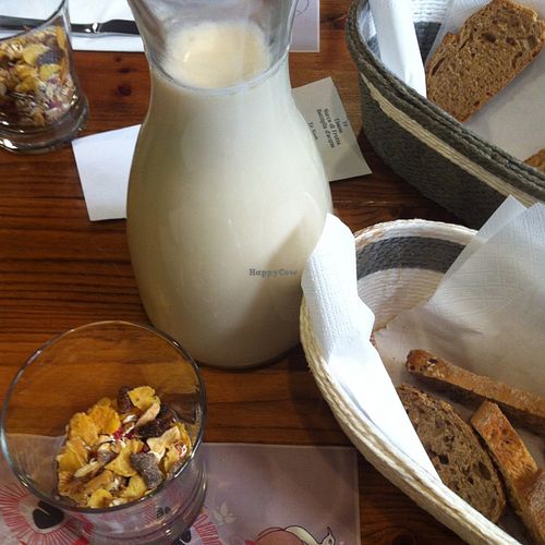 detox vegan breakfast at Peacock's Cafe in Turin