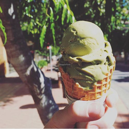 Matcha gelato in the sunshine at Space Bars Gelato in Lismore