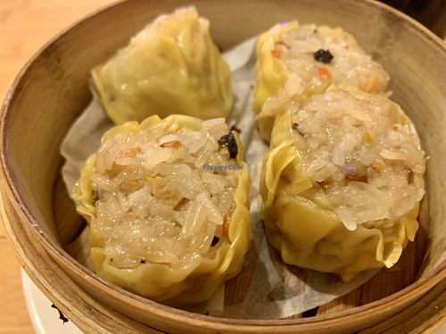Shumai: oh my!  at Taiwan Noodle in Albany