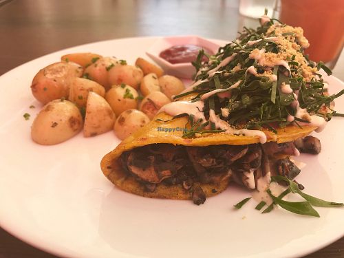 Mushroom Omelette at The Pitted Date in Playa Del Carmen