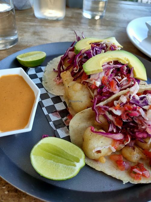 Tacos cochinita pibil at The Pitted Date in Playa Del Carmen