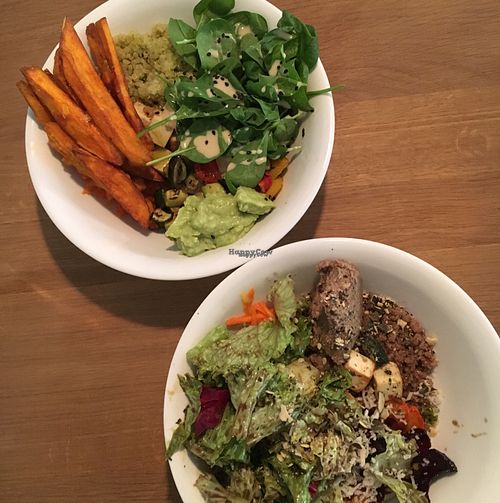 greenhouse bowl and local bowl at Ginko - Greenhouse in Graz