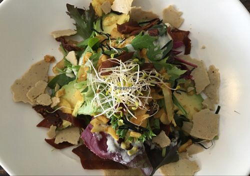 Caesar salad at The Plant Gallery in Bondi