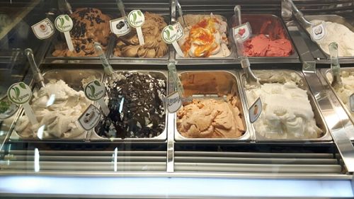 Vegan Flavours at Piero Gelateria Artigianale in Orbassano