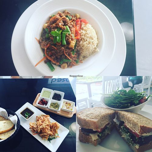 Stir Fry Tempeh; Crispy Taro; Falafel sandwich  at Screaming Carrots in Hallandale Beach