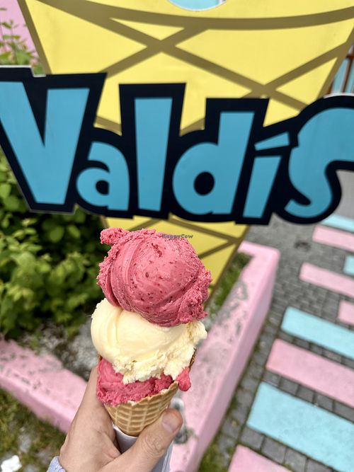   at Valdis in Reykjavik