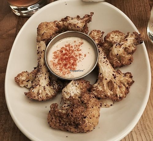 B52 Cafe, Pittsburgh at B52 Cafe in Pittsburgh