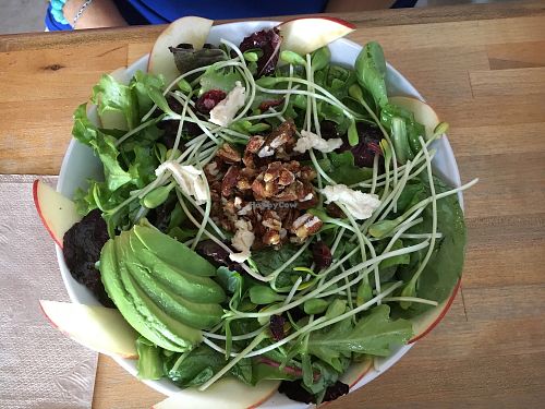 361 Salad at Love Food Central in St Petersburg