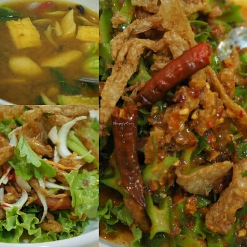 wild curry & two different salads. at Veggie Chef in Bangkok