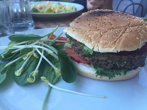 Vegan Food  at TIKI Lounge Bar in Trento