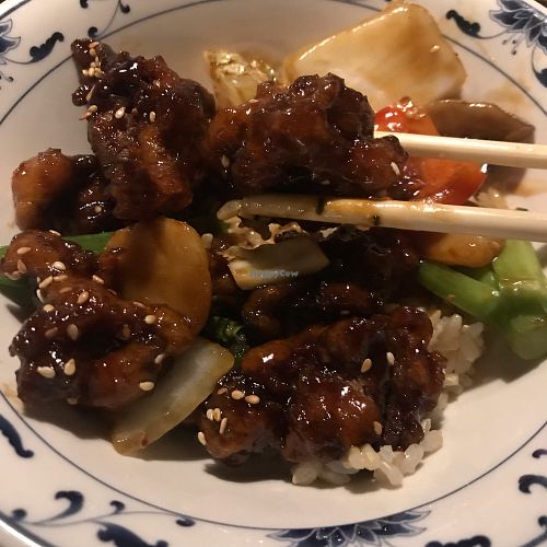 Seitan up close with brown rice at Single Pebble in Burlington