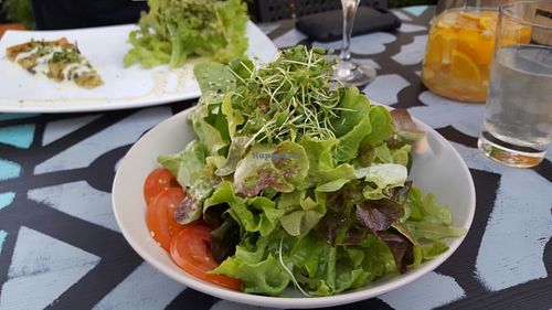 salad at Timo Franke - Vegan Cuisine in Buehl