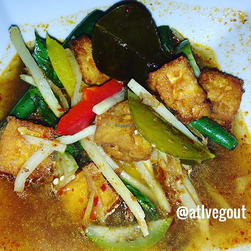 wild jungle curry tofu  at L'Thai Organic Restaurant - East in Tucker