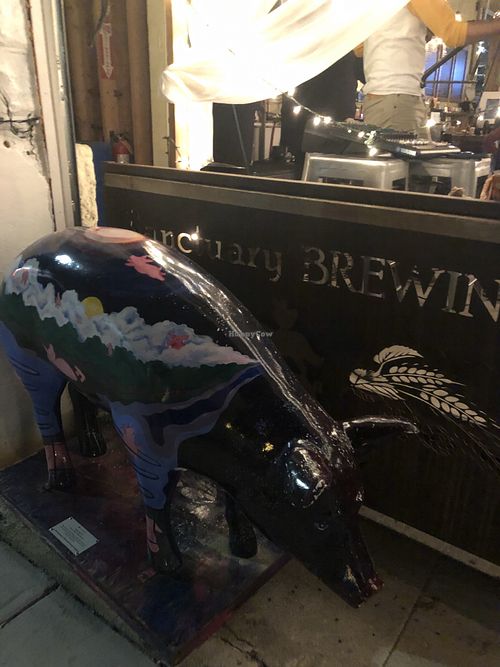 Pig at Sanctuary Brewing Company in Hendersonville