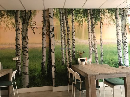 cool interior  at Hoezo in Leiden