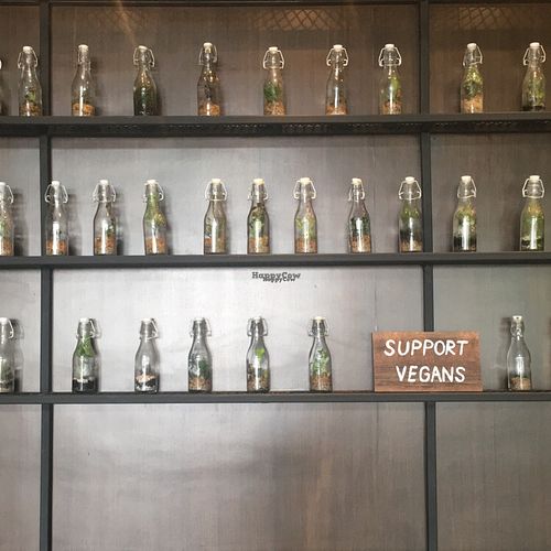 support vegan plants at Veganerie Concept - Benjasiri Park in Bangkok