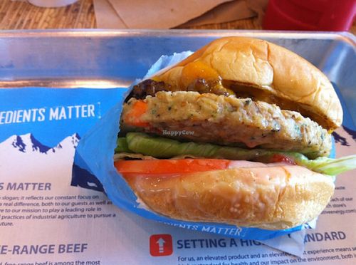 vegan burger at Elevation Burger in Rye Brook