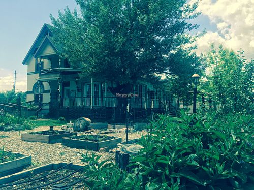 Some of the vegetables are grown on-site!  at Love Peace & Sol Cafe in Denver