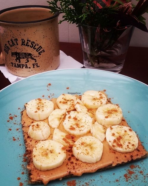 PB&B -- no salt/no sugar peanut butter on house made dehydrated zucchini walnut flatbread sprinkled with cinnamon. Very filling! at Old Earth Pure Organic Food in St Petersburg
