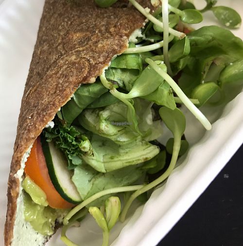 Raw vegan veggie wrap at Old Earth Pure Organic Food in St Petersburg