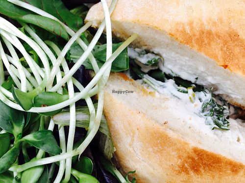 Eggplant panini with cashew ricotta and marinara. Delicious!  at Gratitude in Newport Beach