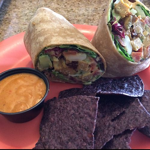 hunny mustard wrap w queso YUM at Dandelion Community Cafe in Orlando