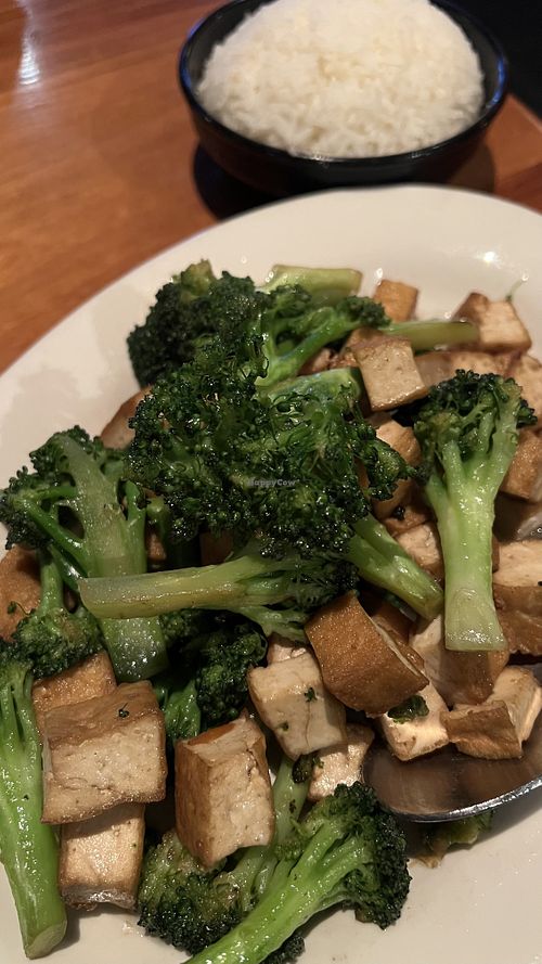 Tofu Broccoli Stir Fry w/ White Rice  at Indochine Asian Dining Lounge in Tacoma